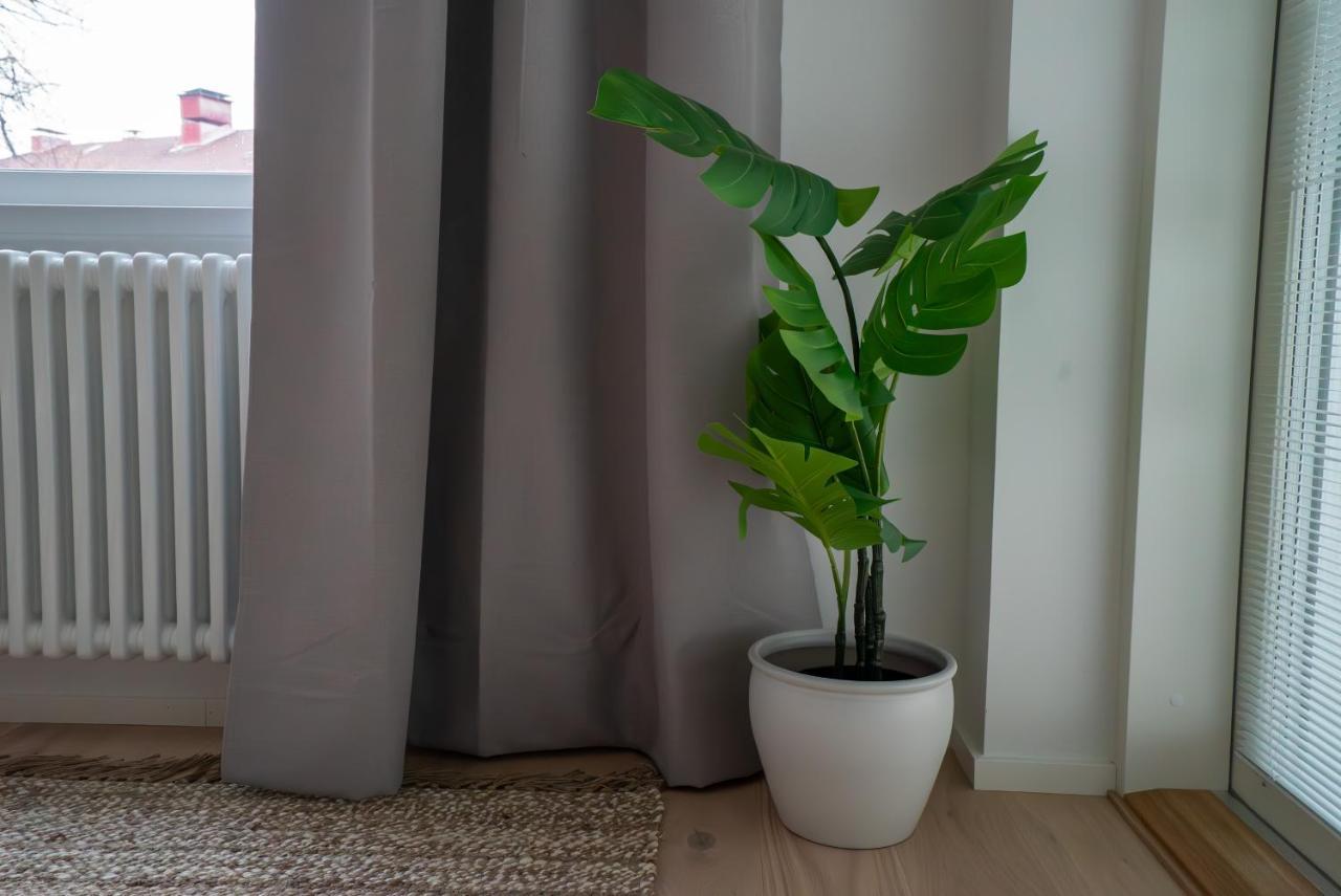 A New Apartment In Гельсінкі Екстер'єр фото